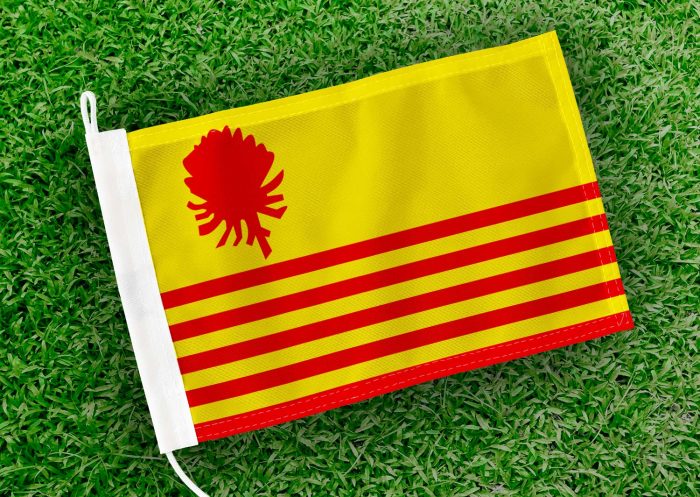 Caravanvlag Borsbeek