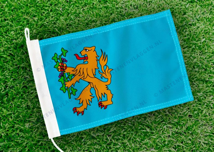 Caravanvlag Brummen