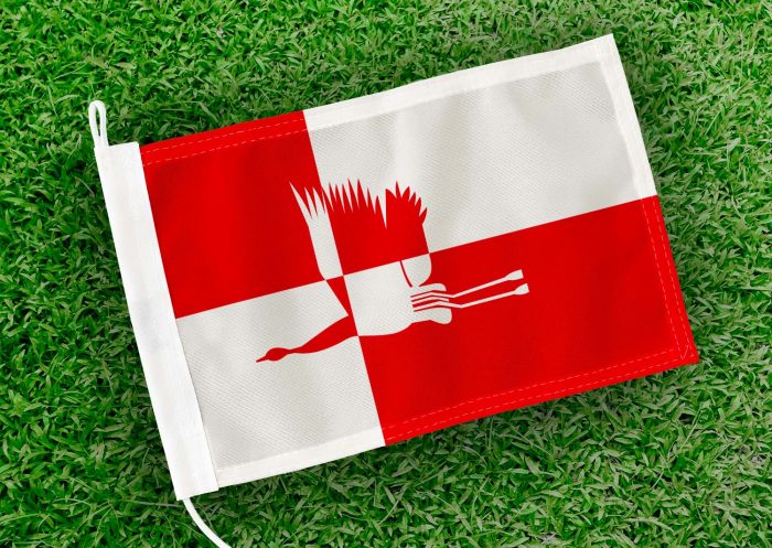 Caravanvlag Cranendonck