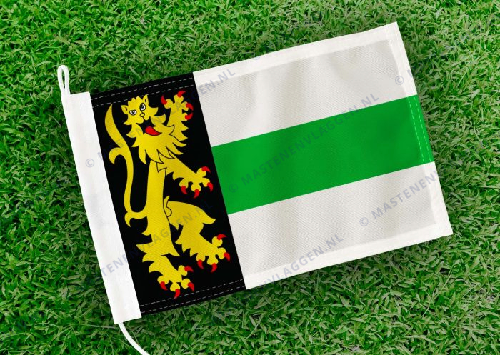 Caravanvlag Druten
