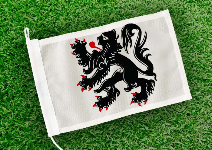 Caravanvlag Edegem