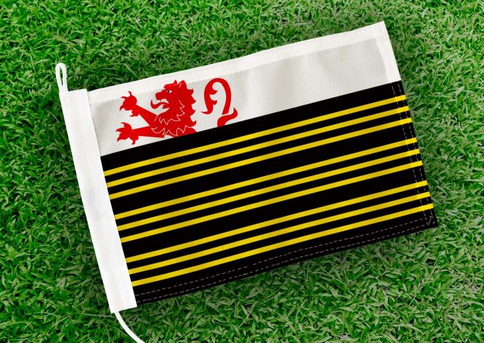Caravanvlag Eersel