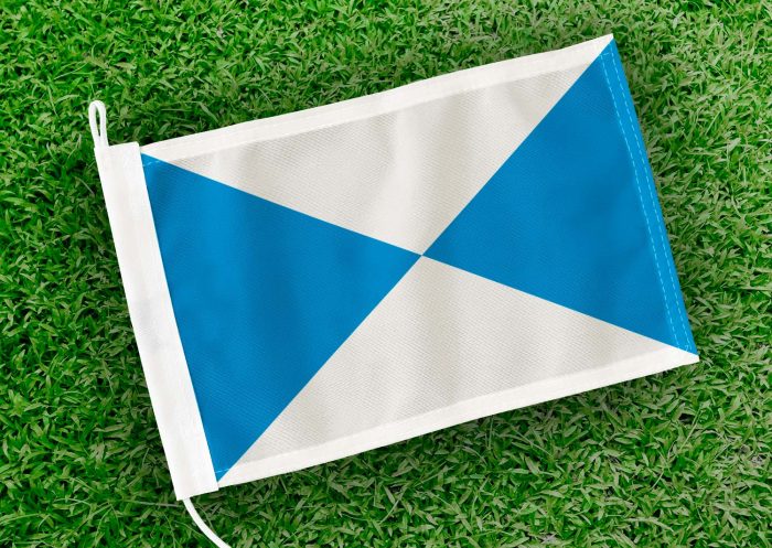 Caravanvlag Halle