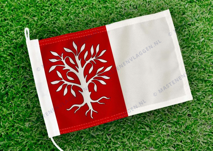 Caravanvlag Herentals