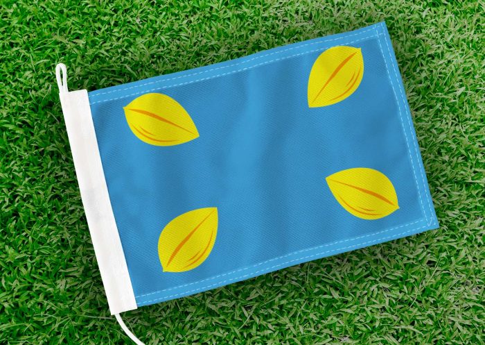 Caravanvlag Hilversum