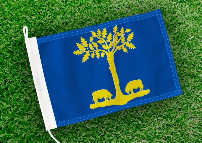 Caravanvlag Lommel