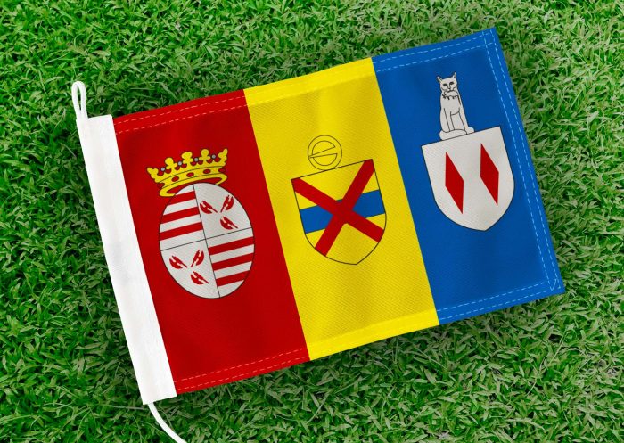 Caravanvlag Londerzeel