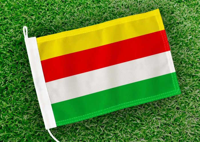 Caravanvlag Maaseik