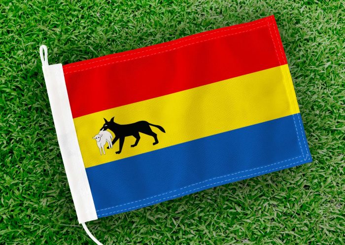 Caravanvlag Meise