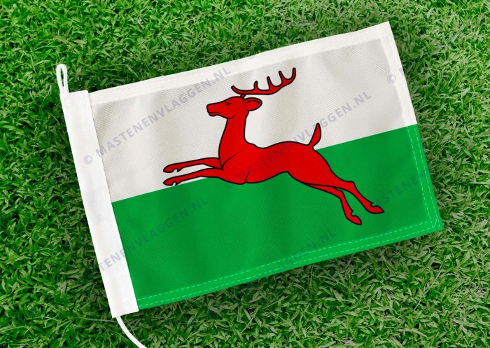 Caravanvlag Smallingerland