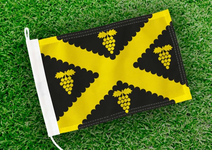 Caravanvlag Wijnegem