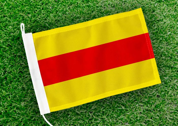 Caravanvlag Wingene