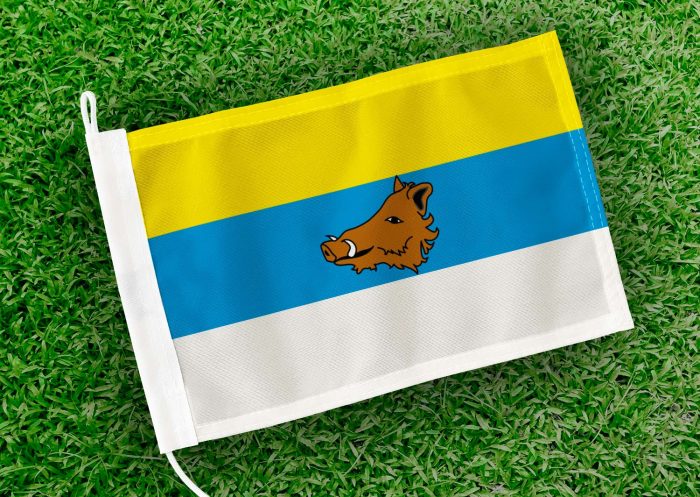 Caravanvlag Zaventem