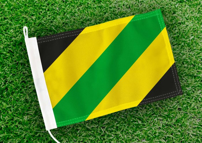 Caravanvlag Zemst