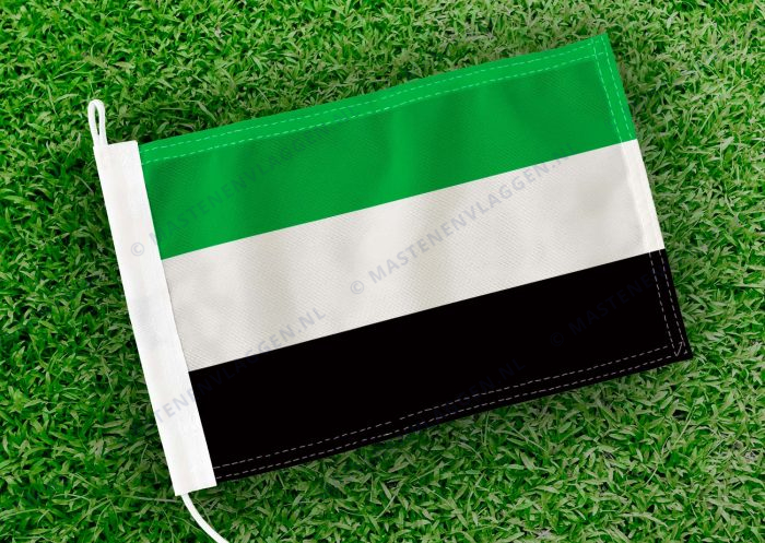 Caravanvlag Leek